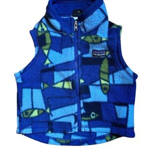 Patagonia Blue and Green Fleece Vest